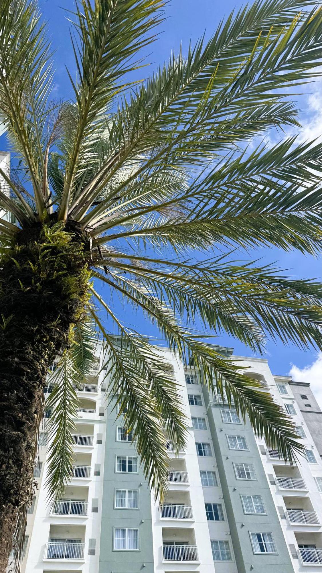 The Point Hotel & Suites Universal Orlando Extérieur photo